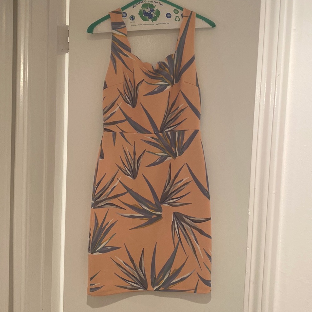 AQUA- birds of paradise dress size Medium. Never worn.